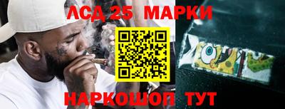 молекула духа Пугачёв