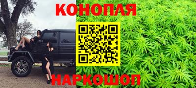 молекула духа Пугачёв
